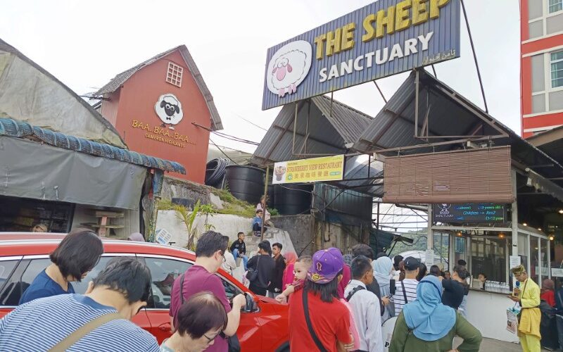 Entrance of the Sheep Sanctuary Cameron Highland