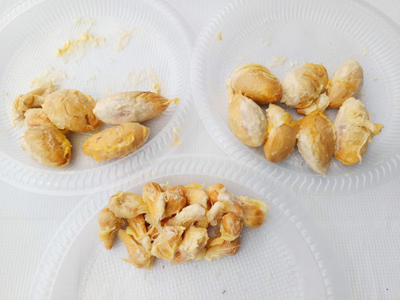 Both large and small durian seeds at the Standard section of Giant Durian Buffet Tampines