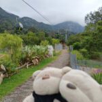 Nope, don't be stupid like Tom to think that you can walk all the way up to SkyBridge Langkawi via this path, you cannot.