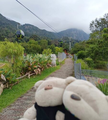 Nope, don't be stupid like Tom to think that you can walk all the way up to SkyBridge Langkawi via this path, you cannot.